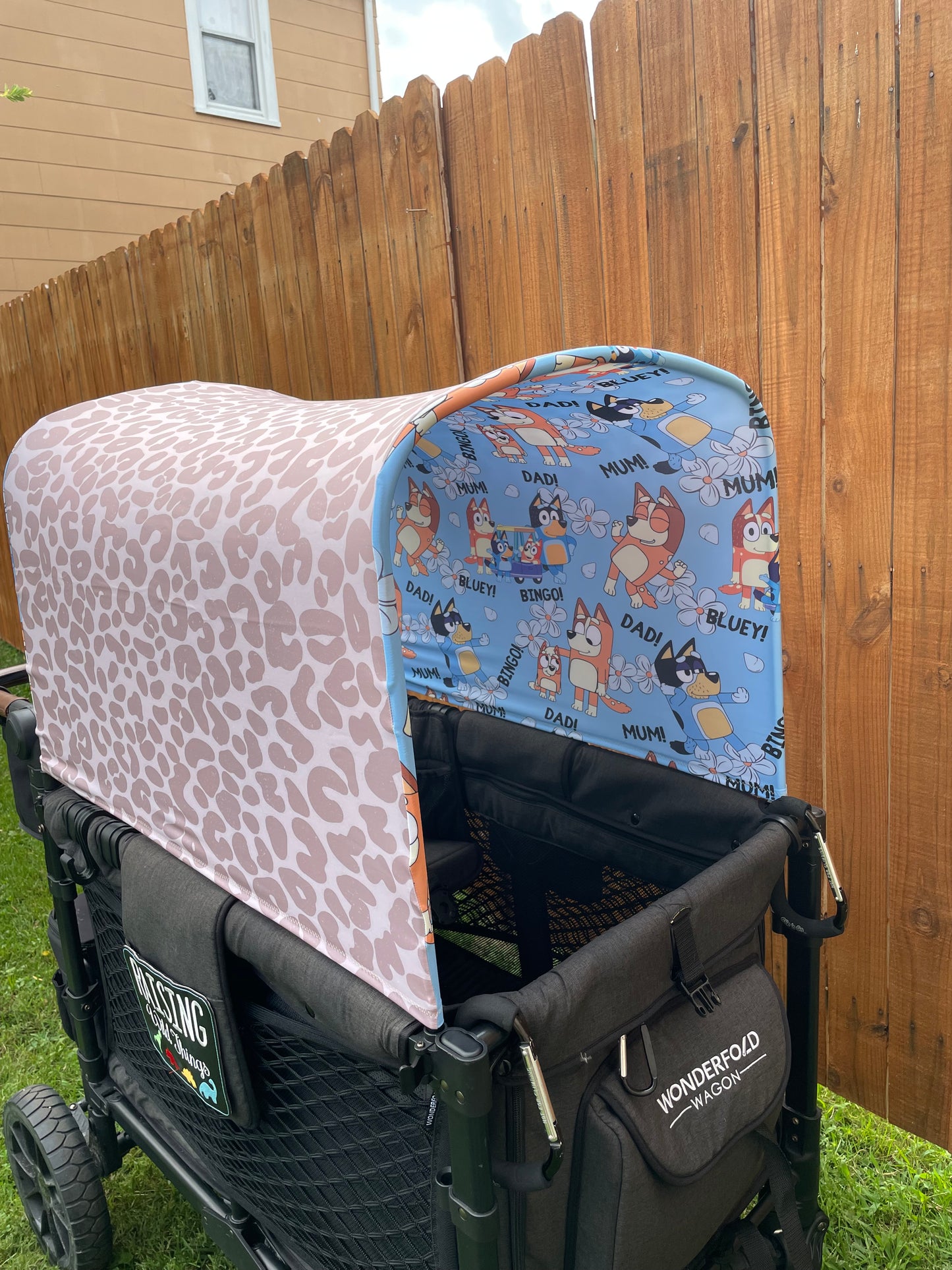 Custom Reversible Canopy