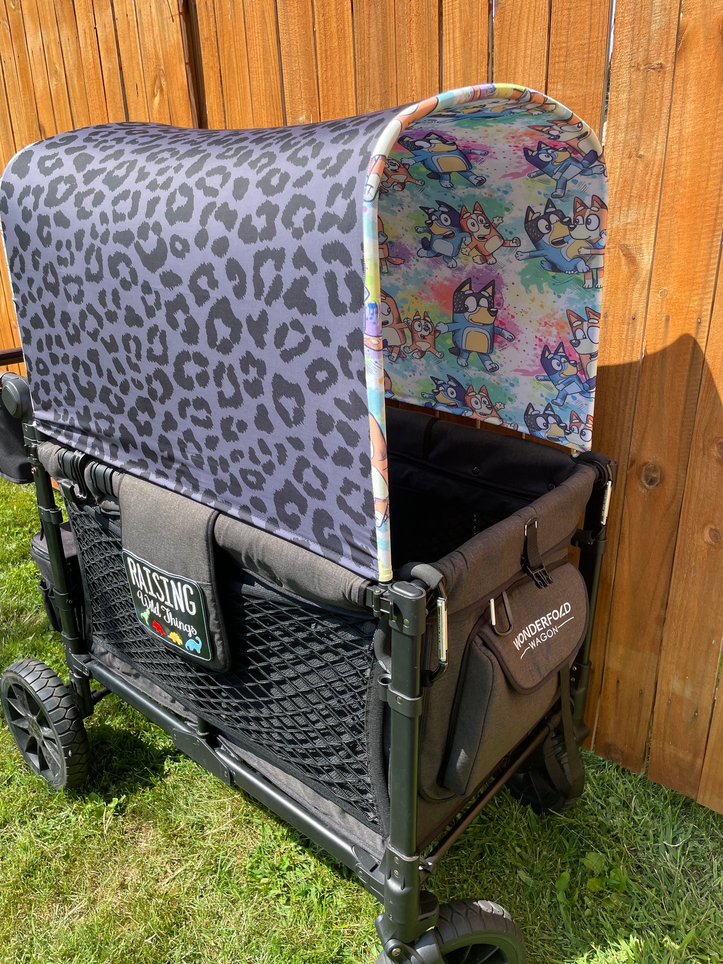 Custom Reversible Canopy