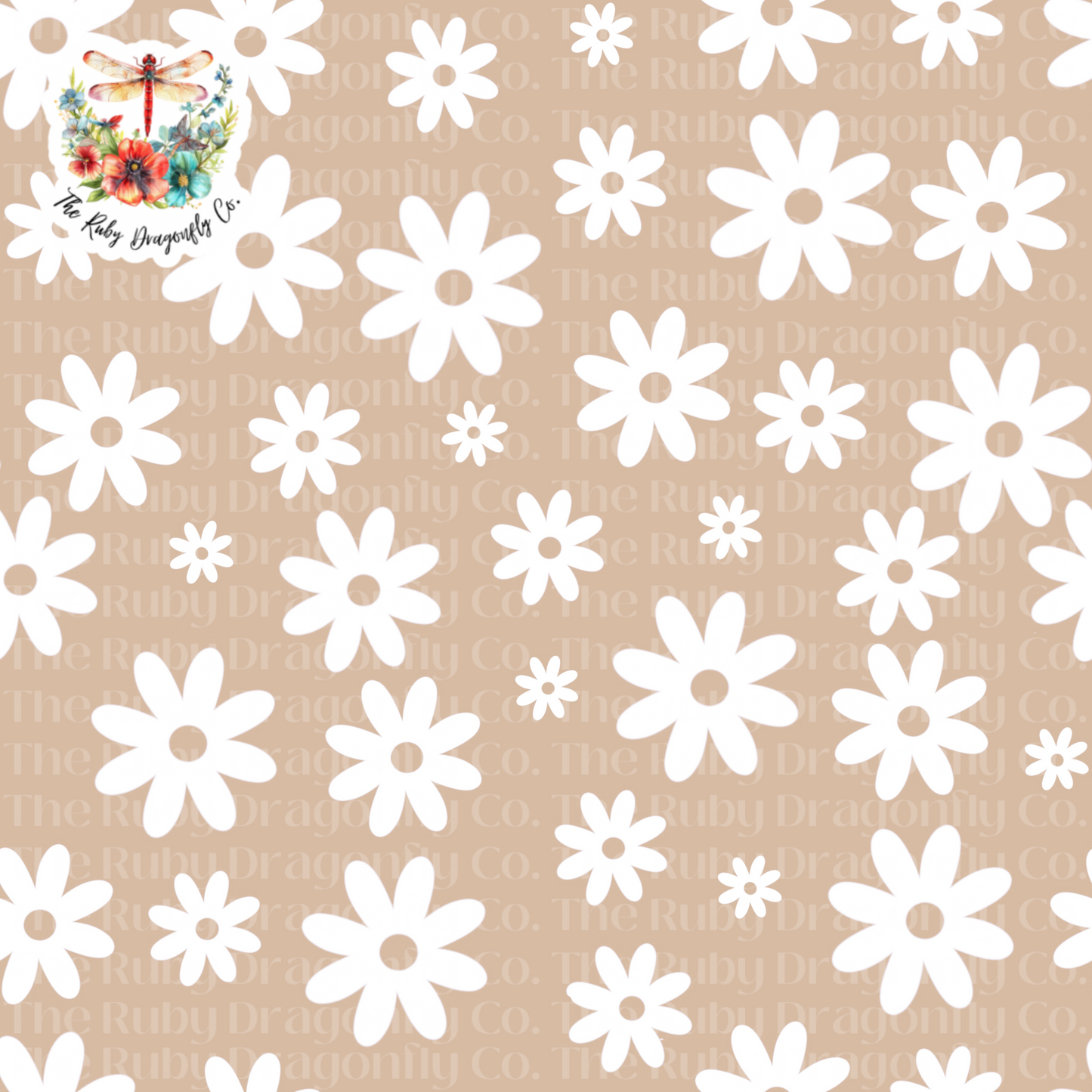 Beige Daisies