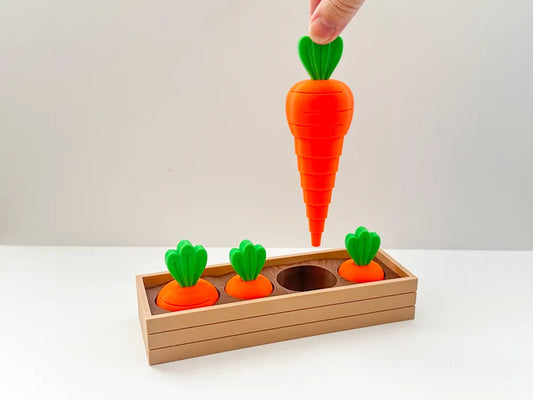 Flexi Carrot Garden