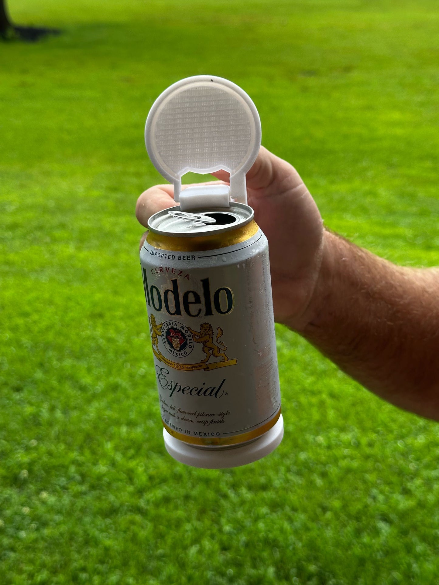 Beer Can Holder & Lid