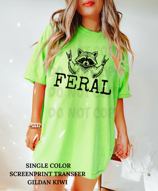Feral Raccoon Single Color