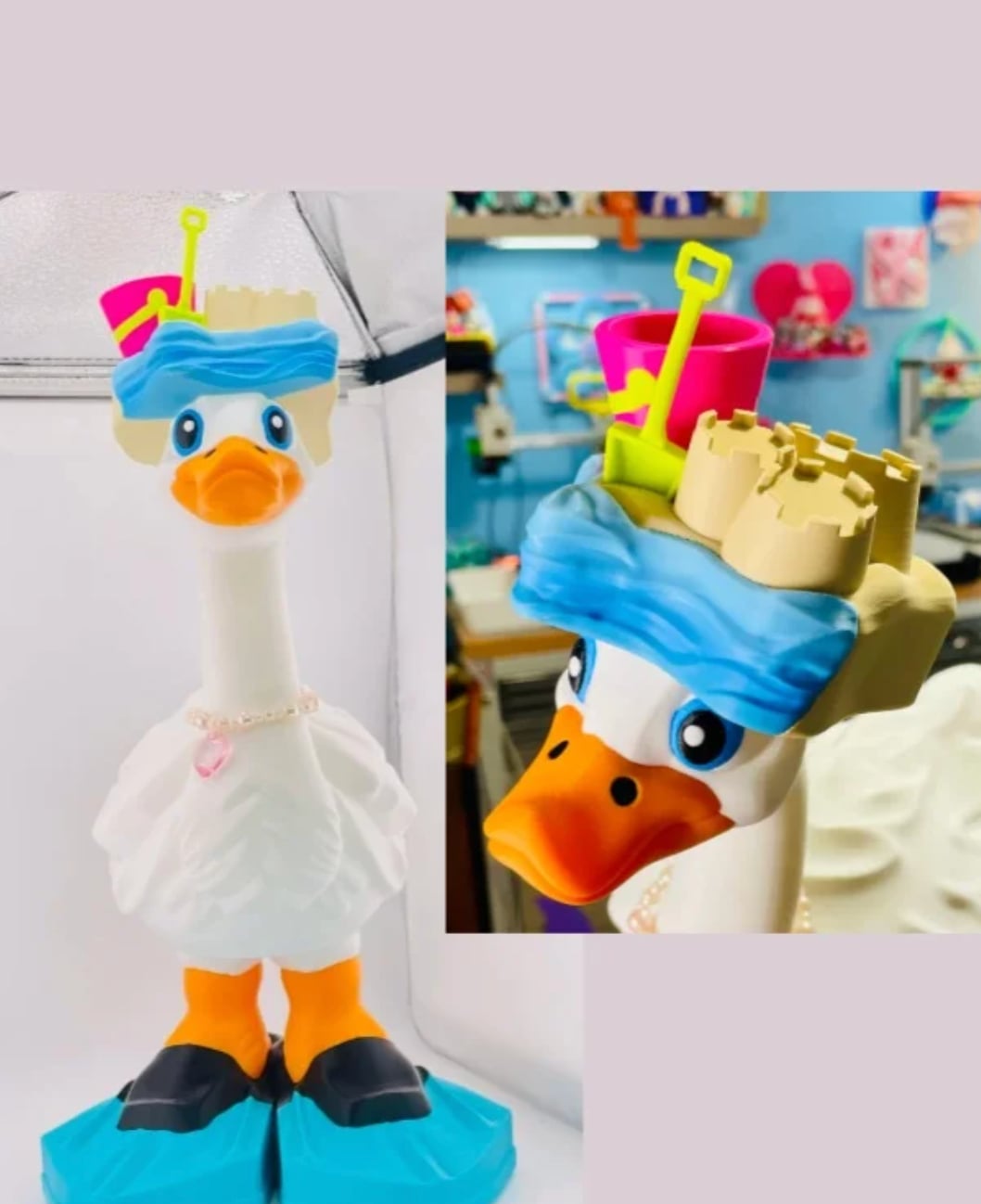 Beach Goose