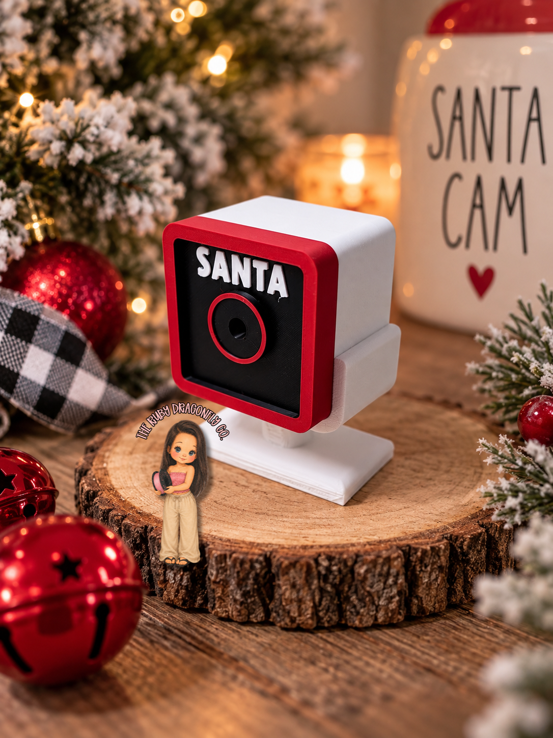Santa Cam