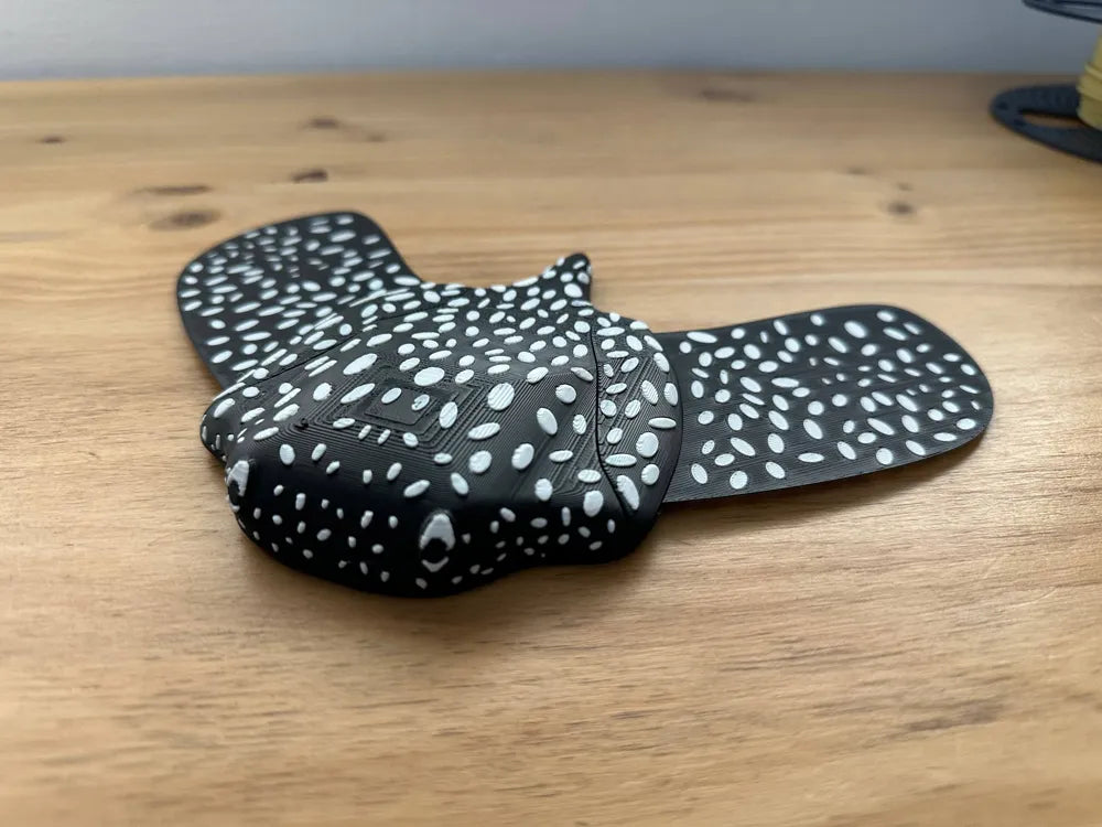 Gliding Manta Ray