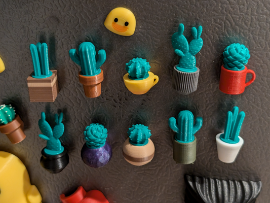 Fridge Succulent Magnets (set of 5)